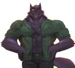  2020 absurd_res akiwoofer anthro belt bernard_(ok_k.o.!_lbh) big_muscles black_nose bottomwear canid canine cartoon_network clothed clothing eyebrows fur hands_on_hips hi_res humanoid_hands looking_at_viewer male mammal muscular muscular_anthro muscular_male ok_k.o.!_let&#039;s_be_heroes one_eye_closed open_clothing open_shirt open_topwear pants pink_tongue plaid_shirt purple_body purple_fur shirt simple_background smile solo standing thick_eyebrows tongue tongue_out topwear were werecanid werecanine werewolf white_background wink 