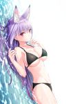  1girl animal_ear_fluff animal_ears ass bangs bikini black_bikini breasts closed_mouth collarbone commentary_request fox_ears halterneck highres kamishiro_natsume large_breasts long_hair looking_at_viewer lying melty+ on_back partially_submerged purple_hair red_eyes sideboob sidelocks simple_background solo string_bikini swimsuit thighs very_long_hair virtual_youtuber water white_background yasuyuki 