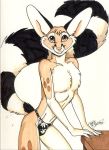  anthro cacomistle chester_ringtail_magreer clothing fluffy fluffy_tail looking_at_viewer male mammal procyonid ringtail solo speedo swimwear terrie_smith traditional_media_(artwork) 