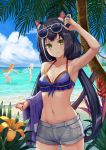  1girl animal_ears bare_shoulders beach bikini black_hair blue_sky breasts cat_ears cat_tail cleavage cloud dress flower frilled_swimsuit frills highres karyl_(princess_connect!) kokkoro_(princess_connect!) low_twintails midriff multicolored_hair navel ocean one-piece_swimsuit palm_tree pecorine pout princess_connect! princess_connect!_re:dive sand short_shorts shorts sidelocks sky small_breasts streaked_hair sundress sunglasses swimsuit tail tree twintails vayashi 