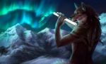  5_fingers anthro black_nose brown_body brown_fur canid canine canis detailed_background fingers fur male mammal night outside sky solo star starry_sky wolf wolnir 