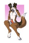  &lt;3 2019 2:3 4_fingers 4_toes abstract_background anthro balls biped black_eyes blush bodily_fluids brown_body brown_collar brown_fur brown_tail canid canine canis chest_tuft claws collar collar_only collar_tag cum cum_on_hand domestic_dog ejaculation erection fingers fur genital_fluids genitals hair hand_on_face hi_res holding_penis looking_aside male mammal milodesty monotone_hair multicolored_body multicolored_fur multicolored_tail name_tag nude penis raised_tail shy signature simple_background smile solo text toes tuft white_body white_fur white_tail 