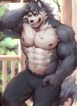  2020 abs absurd_res anthro biceps canid canine canis clothed clothing domestic_dog fur grey_body grey_fur hair hi_res husky kouya_(morenatsu) male mammal morenatsu muscular muscular_anthro muscular_male nipples nordic_sled_dog pecs physen simple_background solo spitz topless video_games visual_novel 