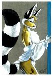  anthro blouse bulge butt cacomistle chester_ringtail_magreer clothing fluffy fluffy_tail fur looking_back male mammal procyonid ringtail solo terrie_smith traditional_media_(artwork) undressing 