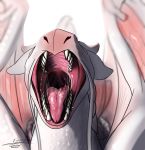  2018 absurd_res albino ambiguous_gender barbel_(anatomy) bodily_fluids depth_of_field digital_media_(artwork) dragon feral flesh_whiskers front_view frostyfang gaping_mouth hi_res horn light_theme membrane_(anatomy) membranous_wings mouth_shot open_mouth pink_tongue saliva scales scalie sharp_teeth shirakami signature simple_background solo teeth tongue white_background white_body white_horn white_scales wings 