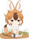 1girl animal_ear_fluff animal_ears bangs bare_shoulders blush boots breasts brown_eyes brown_hair brown_legwear brown_skirt chibi closed_mouth commentary_request dhole_(kemono_friends) drooling eyebrows_visible_through_hair full_body gloves hair_between_eyes highres kemono_friends multicolored_hair pleated_skirt revision saliva shin01571 shirt shoe_soles sitting skirt sleeveless sleeveless_shirt small_breasts solo tail tail_raised thighhighs two-tone_hair white_background white_footwear white_gloves white_hair white_shirt 