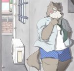  2013 anthro belly blush brown_body brown_fur canid canine canis clothing detailed_background domestic_dog emufu fur kemono male mammal necktie outside overweight overweight_anthro overweight_male shirt solo topwear underwear 
