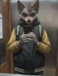  anthro backpack black_eyes canid canine canis clothed clothing detailed_background elevator fur grey_body grey_fur half-closed_eyes half-length_portrait head_tuft holding_object holding_phone hoodie looking_at_viewer male mammal mirror_selfie narrowed_eyes phone photorealism portrait selfie smile solo terry_grimm topwear tuft wolf 
