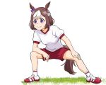  1girl animal_ears breasts brown_hair closed_mouth full_body horse_ears horse_girl horse_tail multicolored_hair purple_eyes short_hair shorts simple_background smile solo special_week tail two-tone_hair ueyama_michirou umamusume white_background white_hair 