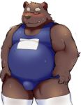  12beat13 2015 belly blush bodily_fluids brown_body brown_fur bulge clothing cute_fangs eyes_closed fur male mammal overweight overweight_male simple_background sweat swimwear ursid white_background 