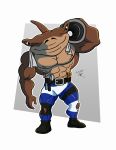  abs anthro bottomwear brown_body clothing exercise fish gepredators ground_shark hammerhead_shark jab_(street_sharks) male marine muscular muscular_anthro muscular_male nipples pants pecs shark solo street_sharks tools towel weightlifting workout 