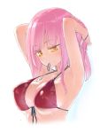  1girl armpits arms_behind_head arms_up bare_arms bare_shoulders bikini breasts cleavage collarbone covered_nipples cropped_torso front-tie_bikini front-tie_top hair_tie_in_mouth halter_top halterneck highres homura_subaru large_breasts long_hair looking_down mouth_hold original pink_hair red_bikini simple_background solo strap_gap string_bikini swimsuit wet white_background yellow_eyes 