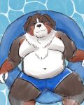  2020 4:5 anthro belly bernese_mountain_dog black_body black_fur blush bottomwear brown_body brown_fur canid canine canis clothing domestic_dog eyes_closed fur hi_res humanoid_hands kemono lying male mammal molosser moobs mountain_dog navel overweight overweight_anthro overweight_male shorts solo swiss_mountain_dog white_body white_fur yaki_atsuage 