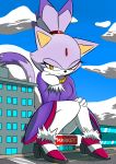  accessory anthro blaze_the_cat clothed clothing detailed_background dipstick_hair dipstick_tail female footwear fur hair hair_accessory hairband half-closed_eyes handwear hi_res high_heels jewelry justwhite macro multicolored_hair multicolored_tail narrowed_eyes purple_body shoes sign silver_the_hedgehog smile solo sonic_the_hedgehog_(series) yellow_eyes 