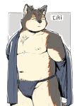  2020 anthro asian_clothing belly cai1448331577 canid canine canis clothing domestic_dog east_asian_clothing eyes_closed fundoshi hi_res japanese_clothing kemono male mammal moobs nipples overweight overweight_anthro overweight_male solo tired underwear undressing 