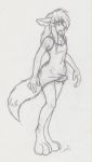  anthro canid canine cherri clothed clothing crossdressing digitigrade fox genitals girly lingerie male mammal penis poking_out sketch sleepwear solo 