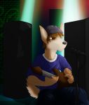  anthro brown_body brown_eyes brown_fur brown_hair canid canine clothed clothing detailed_background fluffy fluffy_tail fur hair hat headgear headwear holding_object male mammal multicolored_body multicolored_fur saruuk sitting solo two_tone_body two_tone_fur white_body white_fur 