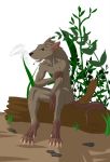  anthro cigarette claws clenched_teeth convenient_censorship fangs fur grey_body grey_fur male mammal murid murine open_mouth rat rodent saruuk simple_background sitting solo teeth white_background 