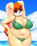  anthro bikini breasts clothing cloud day female hi_res lagomorph leporid mammal rabbit sky slightly_chubby solo sonic_the_hedgehog_(series) speeds swimwear vanilla_the_rabbit 