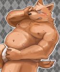 2015 anthro asian_clothing belly blush brown_body brown_fur canid canine canis clothing diru11 domestic_dog east_asian_clothing fundoshi fundoshi&#039;s_day fur humanoid_hands japanese_clothing kemono male mammal moobs navel nipples overweight overweight_anthro overweight_male solo underwear 
