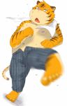  2013 anthro belly bottomwear clothing diru11 felid hi_res kemono male mammal moobs nipples overweight overweight_anthro overweight_male pantherine pants simple_background solo tiger towel white_background 