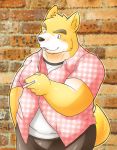  2011 anthro blush bottomwear brown_body brown_fur canid canine canis clothed clothing domestic_dog fur kemono male mammal open_clothing open_shirt open_topwear overweight overweight_anthro overweight_male pants shirt solo topwear whinge white_body white_fur 