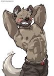  abs aggressive_retsuko anthro athletic blush bottomwear boxers_(clothing) brown_body brown_fur bulge clothed clothing embarrassed eyes_closed fur haida hands_behind_head hi_res hyaenid kumak71395 leaning leaning_back male mammal muscular muscular_male navel nipples open_bottomwear open_clothing open_pants pants sanrio smile solo spotted_hyena teeth text topless underwear url 