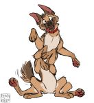  canid canid_taur canine canine_taur canis collar dog_taur domestic_dog feral german_shepherd herding_dog male mammal mammal_taur multi_leg multi_limb pastoral_dog pawpads remywolf sitting_up solo taur tongue tongue_out 