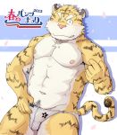  2013 anthro balls_outline barazoku blush bulge clothing felid genital_outline hi_res humanoid_hands kemono male mammal muscular muscular_anthro muscular_male nipples one_eye_closed pantherine penis_outline shiike999 solo tiger underwear underwear_festival wink 
