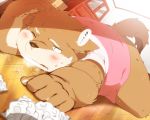  2013 5:4 anthro blush bodily_fluids brown_body brown_fur canid canine canis detailed_background domestic_dog fur hinami inside japanese_text kemono lying mammal overweight overweight_anthro solo sweat text 