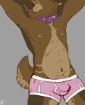  anthro bambii_dog belly bulge cervid clothing collar hi_res male male/male mammal pinup pose solo stoobs underwear 