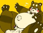  2009 anthro balls big_balls blush brown_body brown_fur canid canine chiro_(artist) erection fur genitals kemono male mammal overweight overweight_anthro overweight_male penis raccoon_dog simple_background small_penis solo tanuki yellow_background 