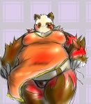  2010 anthro belly brown_body brown_fur chiro_(artist) clothed clothing fanfan fur giant_panda hi_res kemono mammal overweight overweight_anthro red_body red_fur solo underwear ursid white_body white_fur 