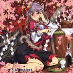  alcohol barefoot blush drunk food hair_ornament hasekura_noizu leaf purple_hair red_eyes rope sake short_hair smile solo touhou yasaka_kanako 