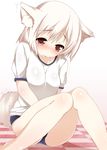  alternate_costume animal_ears blush buruma checkered checkered_floor gym_uniform inubashiri_momiji red_eyes short_hair silver_hair sitting solo tail tears tera_zip touhou trembling white_hair wolf_ears wolf_tail 