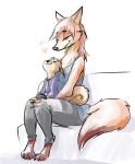  &lt;3 ambiguous_gender anthro barefoot bottomwear brown_body brown_fur canid canine clothed clothing duo eyes_closed female fox fully_clothed fur hi_res hoodie mammal nobby_(artist) on_lap orange_body orange_fur pants rodent sciurid simple_background sitting sitting_on_lap smile topwear tree_squirrel white_background 
