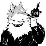  1:1 angry anthro brand_new_animal canid canine canis clothed clothing gesture gloves handwear jacketbear looking_at_viewer male mammal middle_finger monochrome shirou_ogami solo studio_trigger topwear wolf 