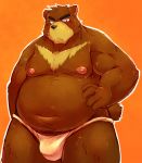  2013 anthro asian_clothing belly black_nose brown_body brown_fur bulge chiro_(artist) clothing east_asian_clothing fundoshi fur japanese_clothing juuichi_mikazuki kemono male mammal moobs morenatsu nipples orange_body orange_fur overweight overweight_anthro overweight_male solo underwear ursid video_games visual_novel 