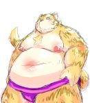  2013 anthro belly chiro_(artist) felid kemono male mammal moobs nipples overweight overweight_anthro overweight_male pantherine simple_background solo sumo tiger white_background 