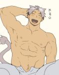  1boy abs absurdres animal_ears armpits bara blush chest closed_eyes fangs feet_out_of_frame grey_hair hand_behind_head highres lion_boy lion_ears lion_tail male_focus male_pubic_hair muscle navel nipples open_pants original pants pectorals pubic_hair shirtless short_hair solo st05254 tail white_background 