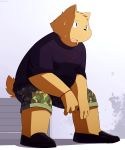  2016 anthro black_nose bodily_fluids bottomwear brown_body brown_fur canid canine clothing fur hi_res humanoid_hands kemono mammal overweight overweight_anthro shirt shorts sitting slightly_chubby solo sweat topwear zuppu11 