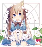  1girl :o absurdres animal_ear_fluff animal_ears apron bangs between_legs blue_dress blue_eyes blush bow brown_hair brown_ribbon cat_ears cat_girl cat_tail collared_dress commentary_request dress eyebrows_visible_through_hair flower food frilled_apron frilled_dress frilled_sleeves frills fruit hair_between_eyes hair_ribbon hand_between_legs highres long_hair looking_at_viewer nakkar original parted_lips ribbon seiza short_sleeves sitting solo strawberry strawberry_blossoms striped striped_bow tail twintails very_long_hair white_apron white_background white_flower 