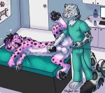  anthro doctor duo electrostimulation examination_room examination_table felid feral male male/male mammal medical pantherine redfeatherstorm scrubs sedated semen_collection snow_leopard syringe veterinarian 