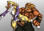  digimon leomon renamon tagme 