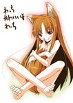  animal_ears barefoot brown_hair fang feet grin holo ko-chin long_hair nude sitting smile solo spice_and_wolf tail tail_hug toe_scrunch toes translated wolf_ears 