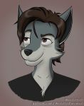  anthro brown_eyebrows brown_eyes brown_hair canid canine canis chest_tuft clothing eyebrows fur green_body green_fur hair male mammal shirt smile solo t-shirt topwear tuft willitfit wolf 