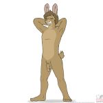  1:1 anthro barefoot brown_body brown_fur brown_hair feet flaccid fur genitals grin hair hands_behind_head hare hi_res humanoid_feet kyle_(ccwoah) lagomorph leporid male mammal nude nudism nudist penis rabbit sammfeatblueheart smile smirk solo text url 