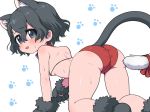  1girl all_fours animal_ear_fluff animal_ears ass back bangs bikini black_eyes black_hair blush breasts cat_ears cat_tail collar commentary dog_collar gloves kaban_(kemono_friends) kemono_friends kemonomimi_mode light_frown looking_back open_mouth paw_boots paw_gloves paw_print paws ransusan red_bikini red_ribbon ribbon short_hair skindentation small_breasts solo string_bikini sweat swimsuit tail tail_ribbon trefoil wavy_hair white_background 