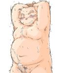  2006 anthro belly blush bodily_fluids bound canid canine canis cum digital_media_(artwork) domestic_dog ejaculation eyes_closed genital_fluids genitals kemono low_res male mammal moobs namihira_kousuke navel oekaki overweight overweight_anthro overweight_male penis solo sweat takagi_kyou trouble_(series) 