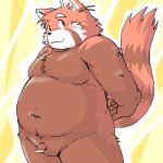  1:1 2007 ailurid anthro belly blush digital_media_(artwork) flaccid fur futaba_kotobuki genitals kemono low_res male mammal oekaki overweight overweight_anthro overweight_male penis red_body red_fur red_panda solo takagi_kyou trouble_(series) 